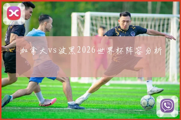 加拿大vs波黑2026世界杯阵容分析