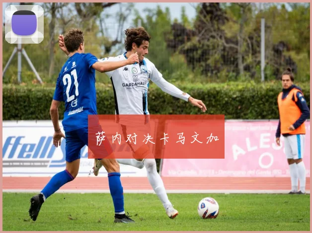 萨内对决卡马文加