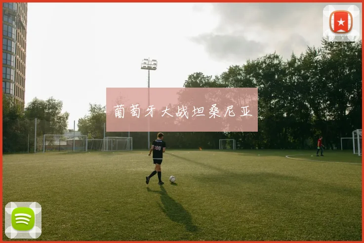 葡萄牙大战坦桑尼亚