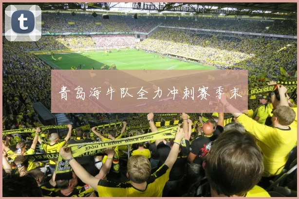 青岛海牛队全力冲刺赛季末