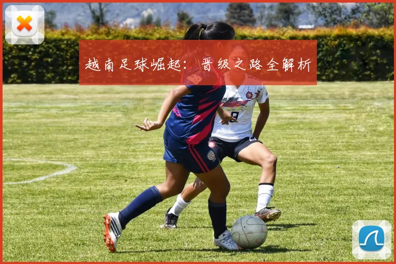 越南足球崛起：晋级之路全解析