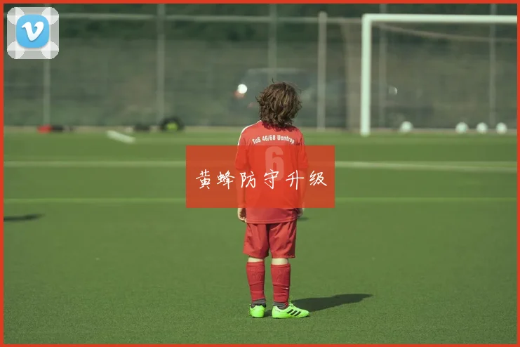 黄蜂防守升级