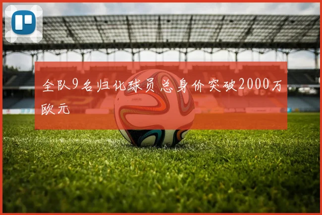 全队9名归化球员总身价突破2000万欧元