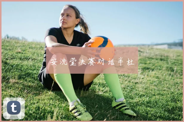安洗莹决赛对话辛杜