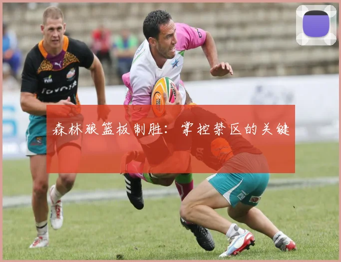 森林狼篮板制胜：掌控禁区的关键