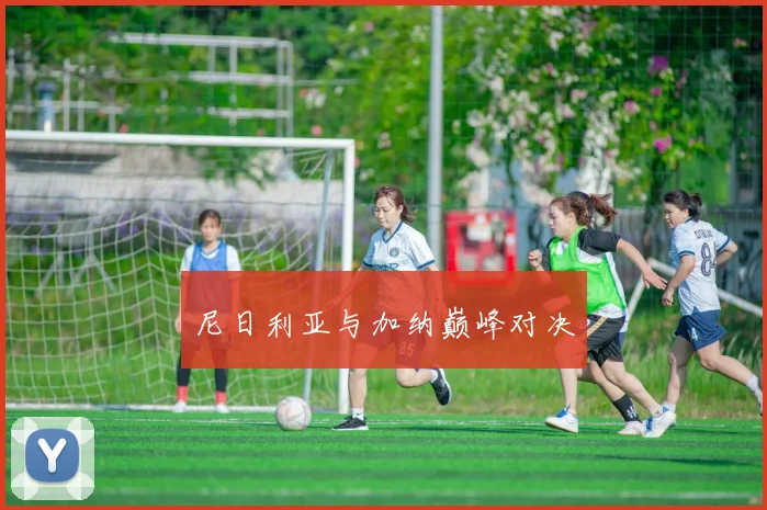 尼日利亚与加纳巅峰对决