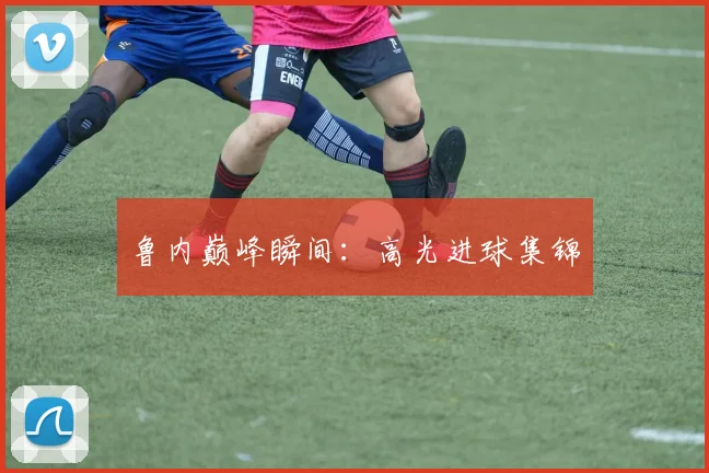 鲁内巅峰瞬间：高光进球集锦