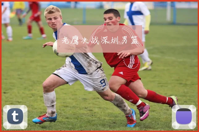 老鹰决战深圳男篮