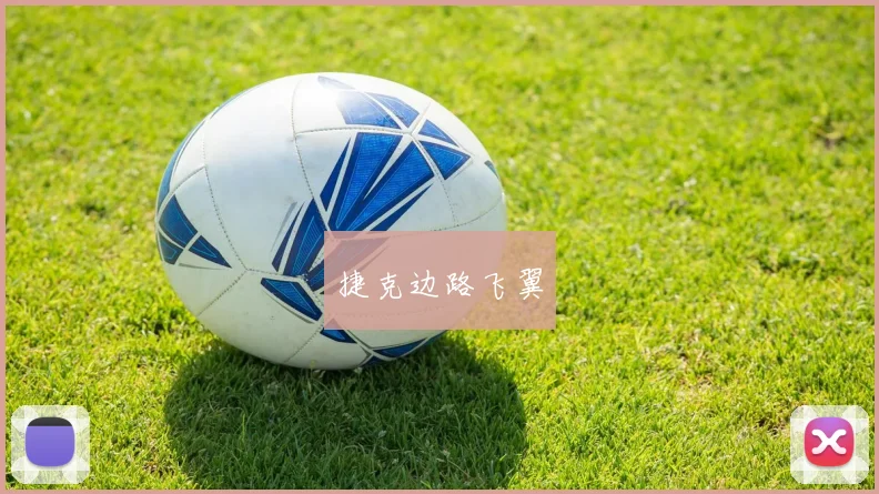 捷克边路飞翼