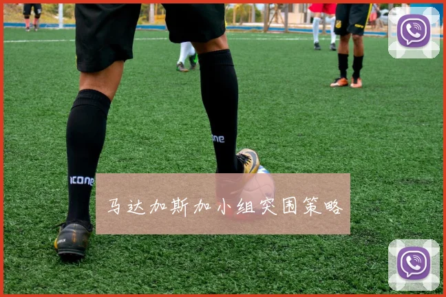 马达加斯加小组突围策略