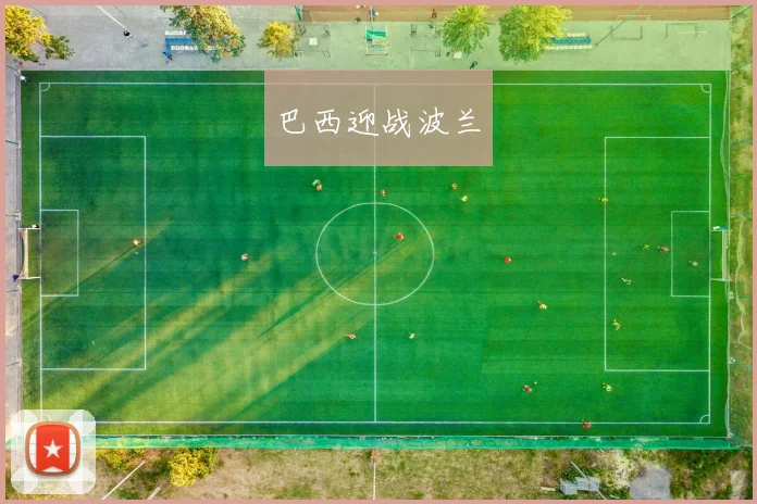 巴西迎战波兰
