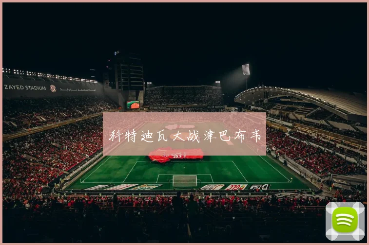 科特迪瓦大战津巴布韦