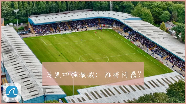 马里四强激战：谁将问鼎？