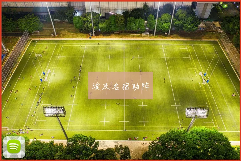 埃及名宿助阵