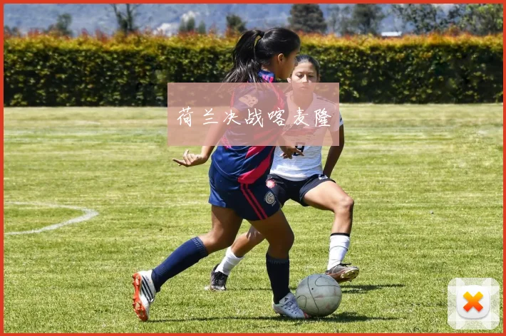 荷兰决战喀麦隆