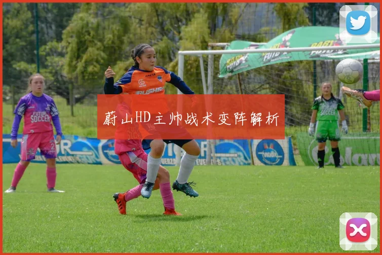 蔚山HD主帅战术变阵解析