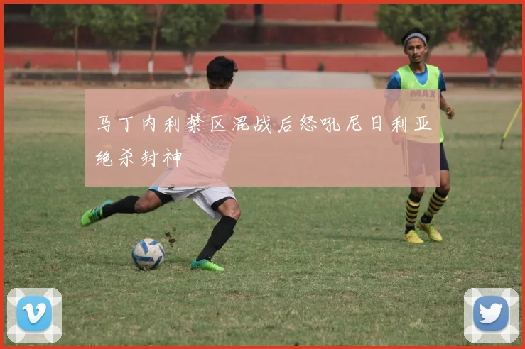 马丁内利禁区混战后怒吼尼日利亚绝杀封神