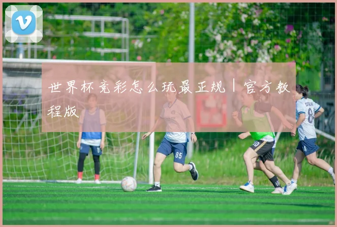 世界杯竞彩怎么玩最正规｜官方教程版