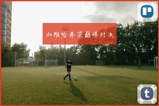 加维哈弗茨巅峰对决