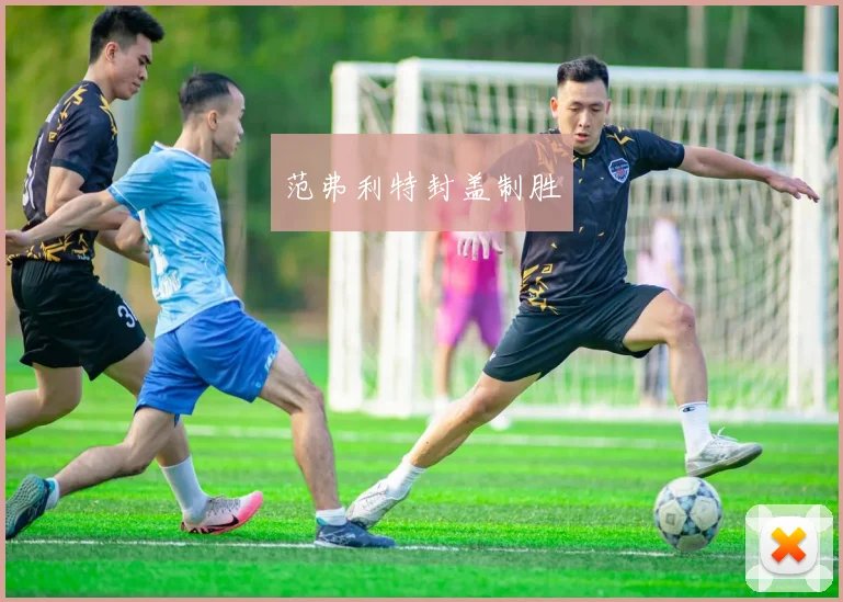 范弗利特封盖制胜