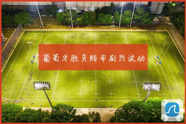 葡萄牙胜负赔率剧烈波动