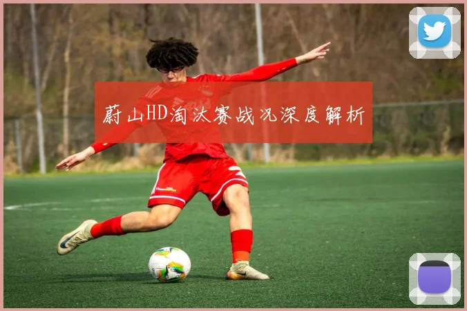 蔚山HD淘汰赛战况深度解析