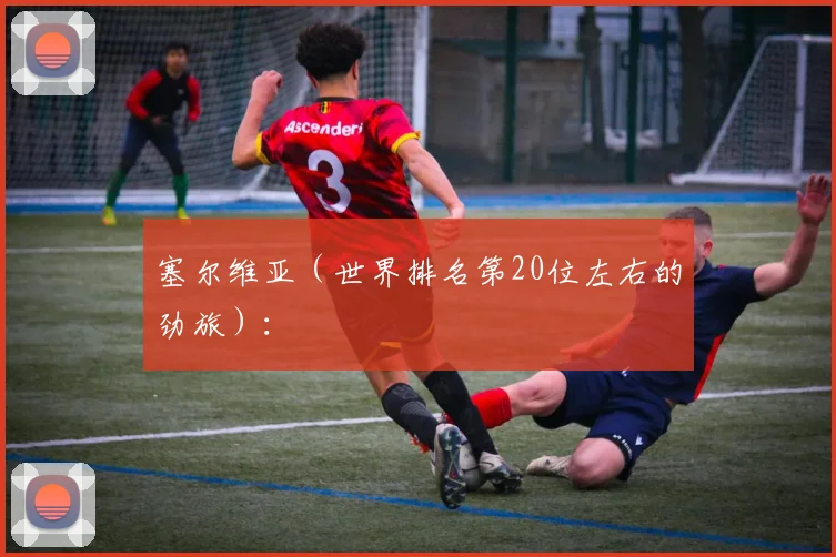 塞尔维亚（世界排名第20位左右的劲旅）：