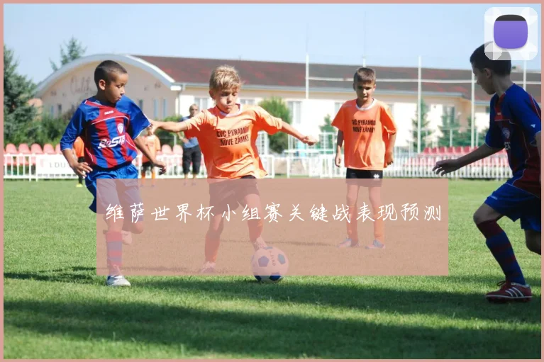 维萨世界杯小组赛关键战表现预测