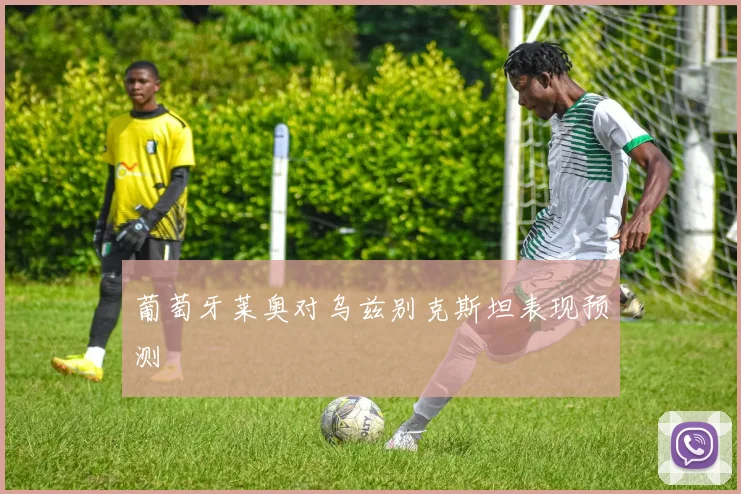 葡萄牙莱奥对乌兹别克斯坦表现预测