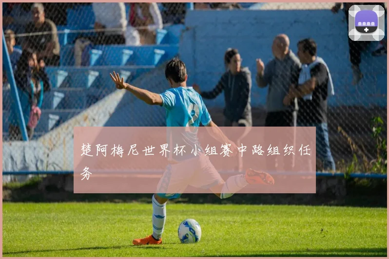楚阿梅尼世界杯小组赛中路组织任务