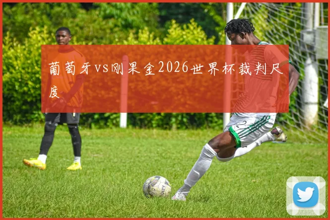 葡萄牙vs刚果金2026世界杯裁判尺度