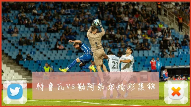 特鲁瓦vs勒阿弗尔精彩集锦