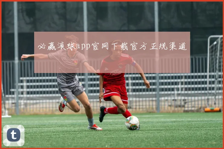 必赢滚球app官网下载官方正规渠道