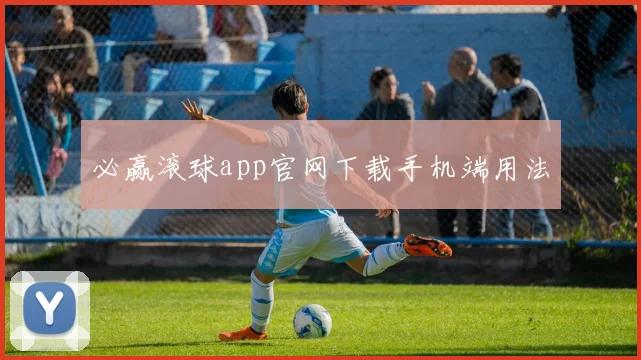 必赢滚球app官网下载手机端用法