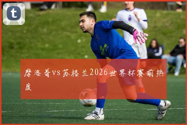 摩洛哥vs苏格兰2026世界杯赛前热度