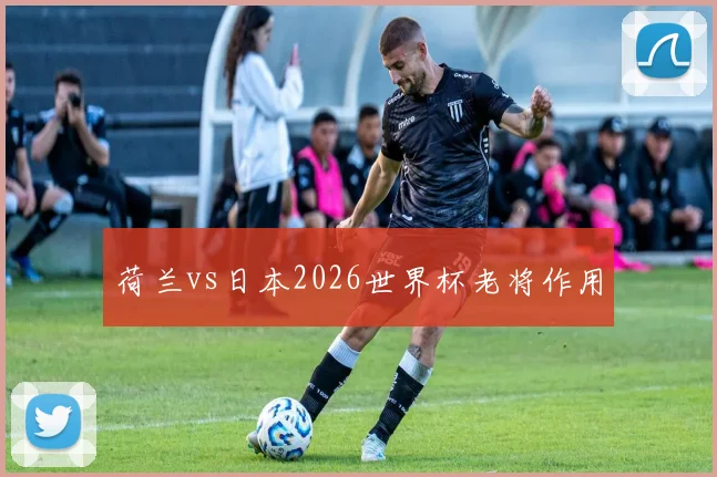 荷兰vs日本2026世界杯老将作用