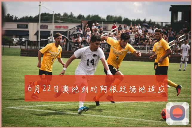 6月22日奥地利对阿根廷场地适应